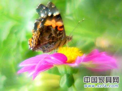 蝶依斕路傳說&nbsp;<wbr>The&nbsp;<wbr>Legend&nbsp;<wbr>of&nbsp;<wbr>Dearland