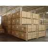 包裝箱用膠合板/LVL（8米長）