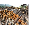 求購大量的柏木、洋槐