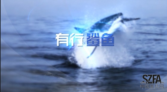 有行鯊魚拼板膠 (3)