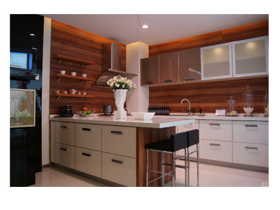 烤漆櫥柜門(mén)