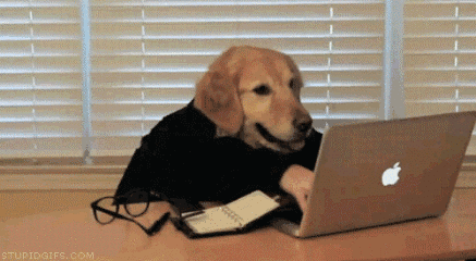 “816不加班”不只是口號，更是公司對顧家人的承諾,“816不加班”不只是口號,更是公司對顧家人的承諾