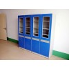 個(gè)性理化生實(shí)驗(yàn)室儀器柜藥品柜，遠(yuǎn)誠，福州具有口碑的理化生實(shí)驗(yàn)室儀器柜企業(yè)