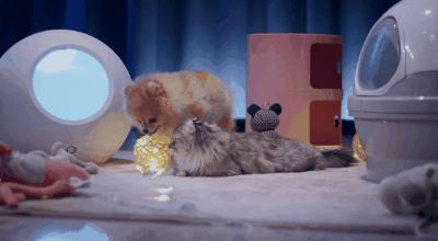 1538038125885551.jpg 圖片10.jpg