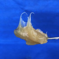 多功能鋰基潤(rùn)滑脂 鋰基黃油 鋰基脂