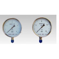 YT特種壓力表具有優(yōu)良的耐腐蝕性能廣泛應(yīng)用于石油、化工等企業(yè)