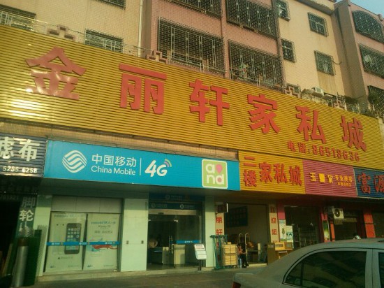 dg0056金麗軒家私城