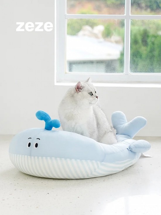 寵物冰窩｜誰能拒絕一只冰冰涼涼的小鯨魚呢_1_zeze_來自小紅書網(wǎng)頁版