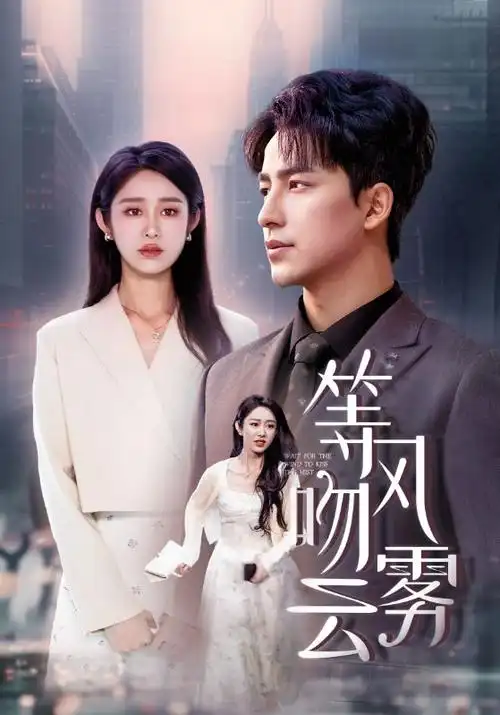 南来北往